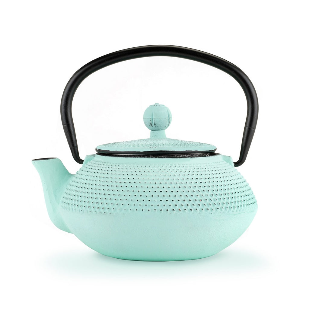 Cast Iron Tea Pot