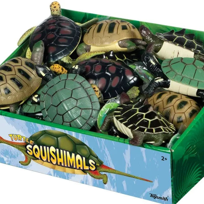 Turtle Squishimal