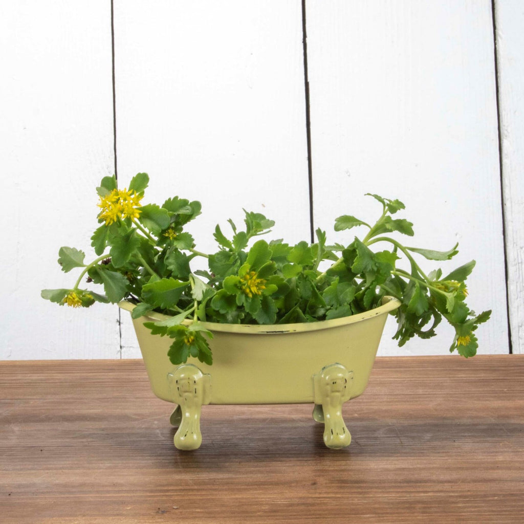 Foreside Home and Garden Mini Bathtub Planters