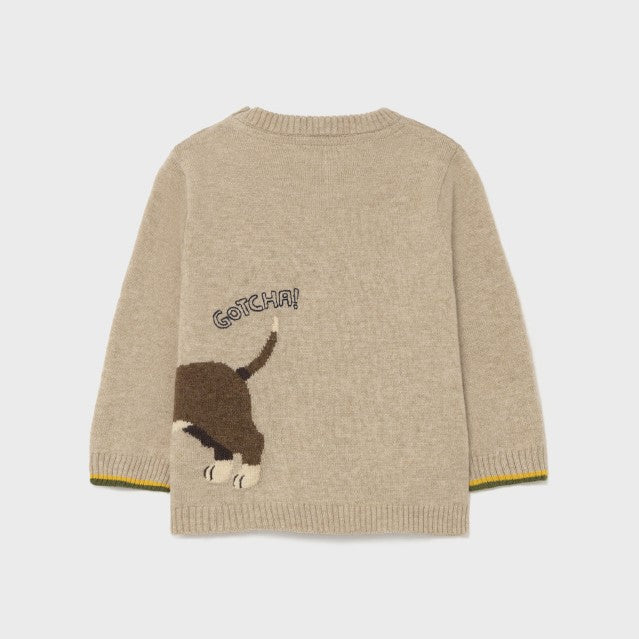 Dog Sweater